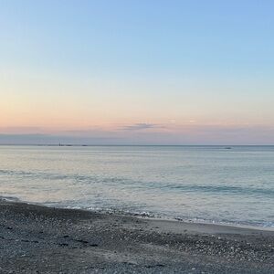 Meet your Posher, Alli